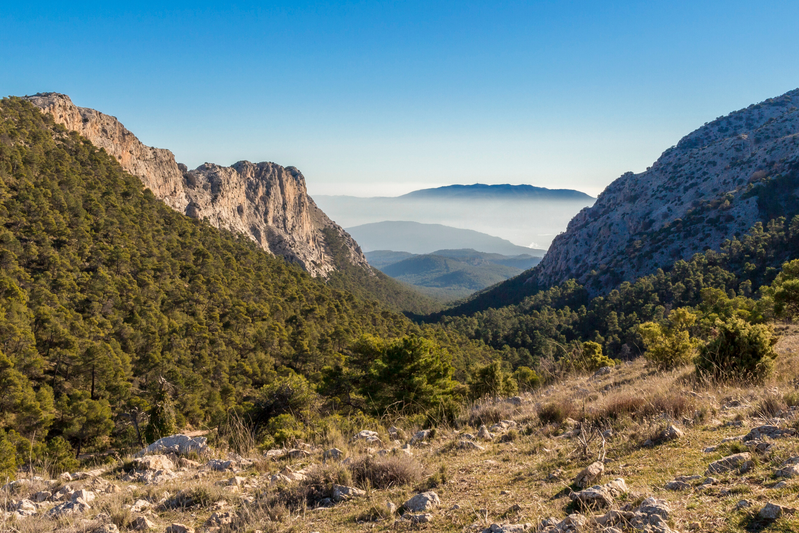 Sierra,Espuña,Natural,Park.,Sierra,Espuña,Is,A,Mountainous,Massif