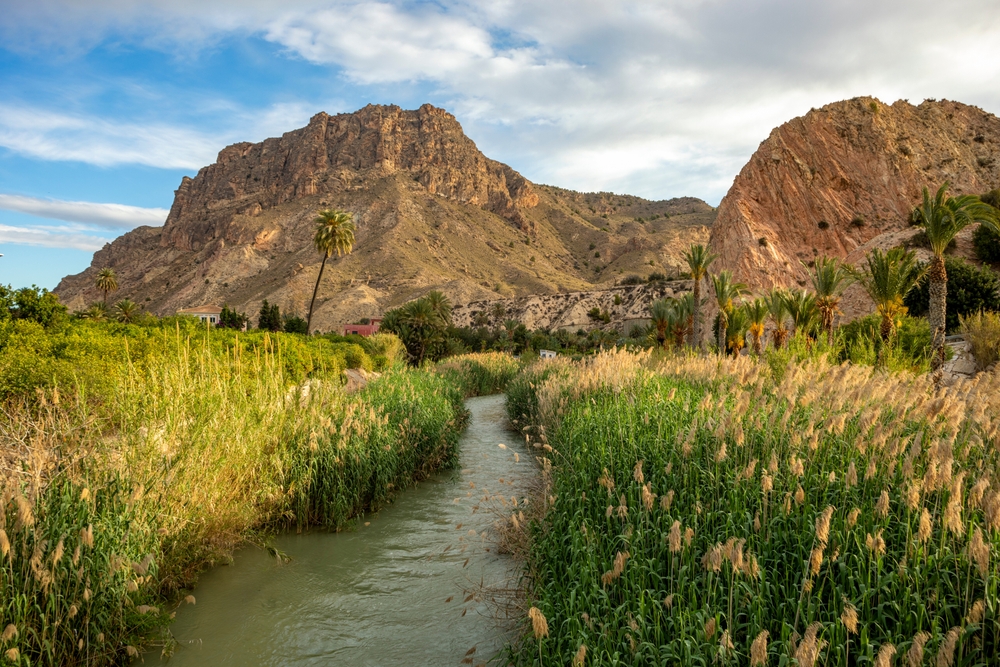 Segura,River,As,It,Passes,Through,The,Town,Of,Ojós