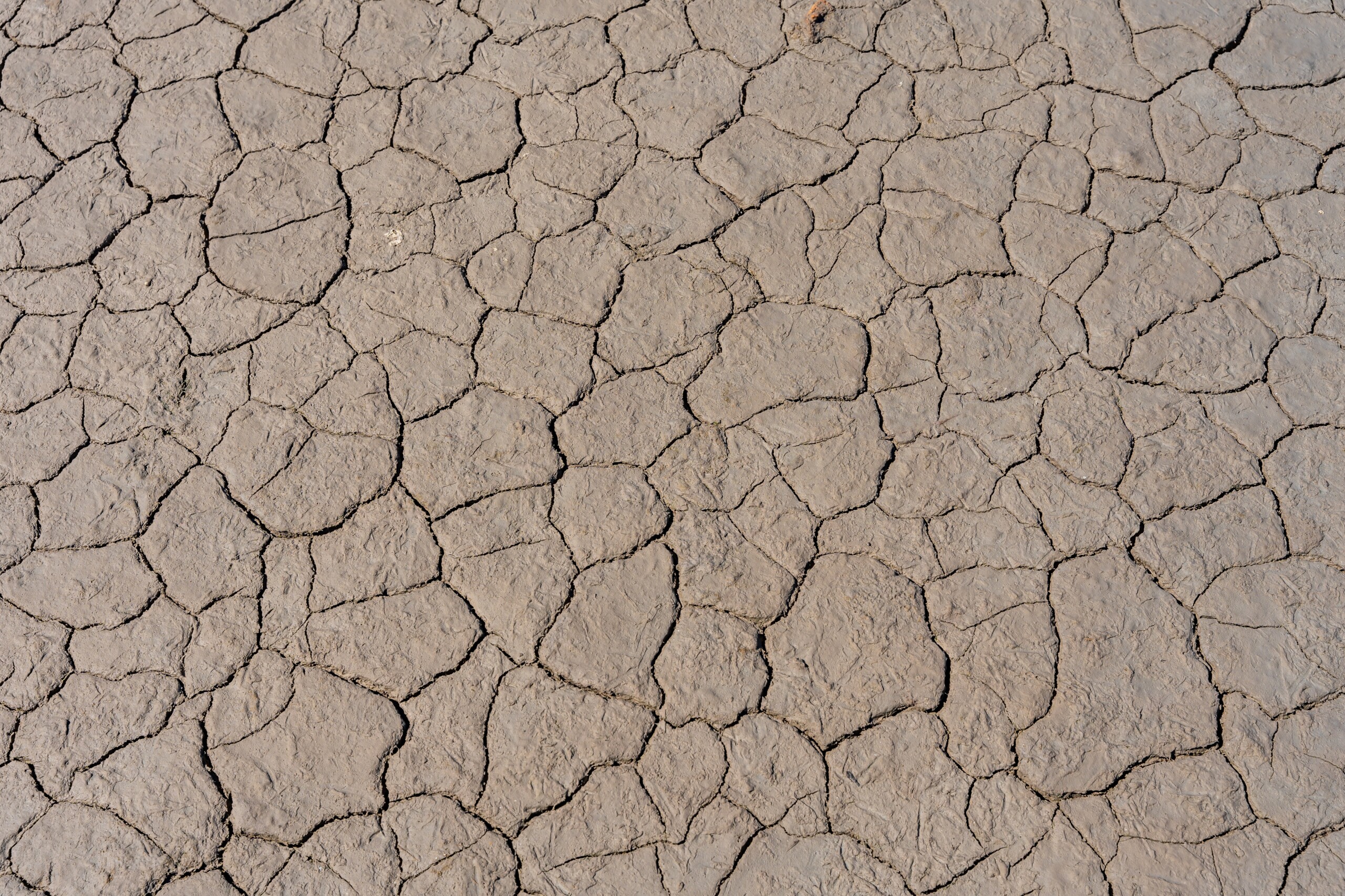 Dry,Cracked,Earth,Texture,Creating,A,Parched,Landscape,,Highlighting,The