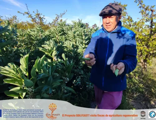 Bullas y Francisco Muñoz: la producción y conservación de semillas en estado puro