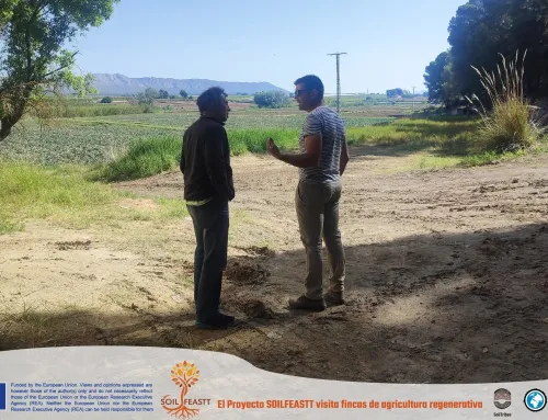 El arroz de Calasparra: visita previa a la siembra